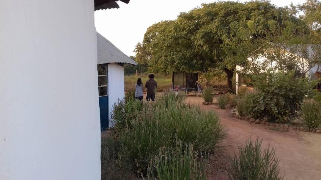 Camping Sitaba Lodge Georgetown Exteriör bild
